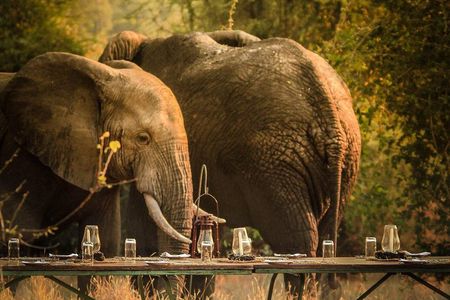 3 Days Safari - Mikumi National Park