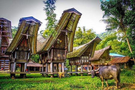3 Days Tana Toraja from Makassar: Kete Kesu Village, Menhir to Funeral Burial