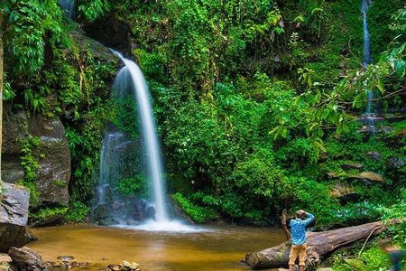 Chiang Mai - Exclusive Trek to Doi Suthep
