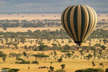4 days Join Group safari in Serengeti, Ngorongoro and Lake Manyara National Park