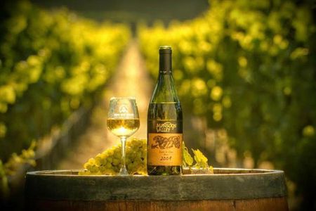 Hua Hin High Light & Vineyard