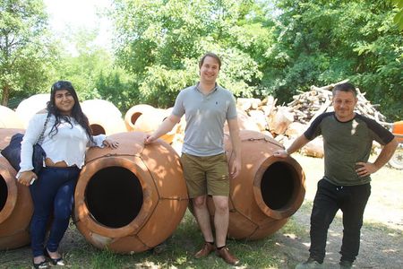 Full-Day Organic Wine Tour with Lunch from Tbilisi via Wine Route Kakheti