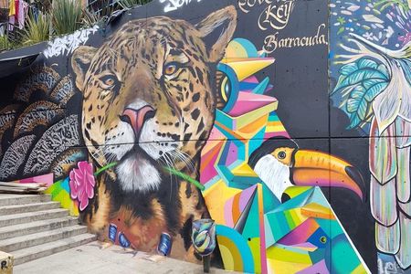 Medellín & Comuna 13 Private Tour