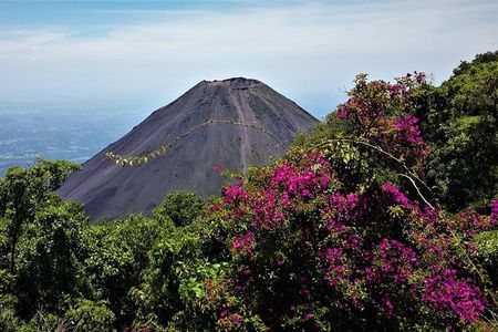 2 Different Sightseeing in 1 Day Tour - Volcanoes Park and Two Mayan Sites. 