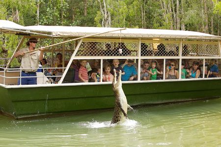 Hartley’s Crocodile Adventures Half-Day Tour from Cairns