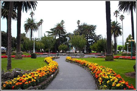  Napier sight seeing / Art Deco Tour -2- 2.5 hours