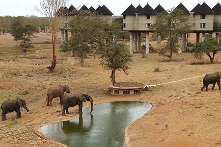 3 Days 2 Nights Tsavo East Taita Hills Game Sanctuary on Stilts
