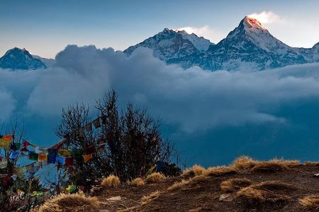 Ghorepani Poon Hill Trek