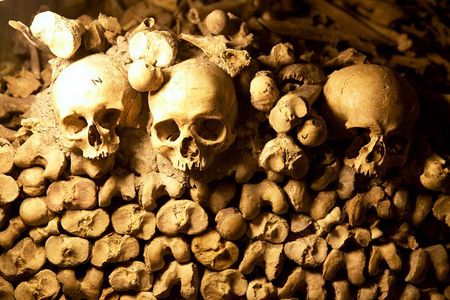  Paris Catacombs Tour