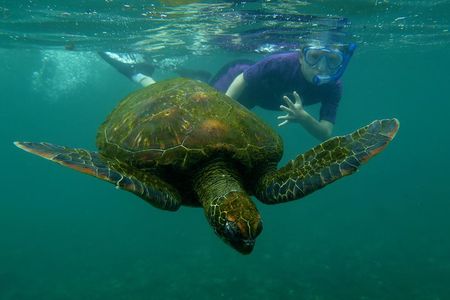 Day tour to Pinzón Island and La Fé/Palmitas Bay with snorkeling and fishing