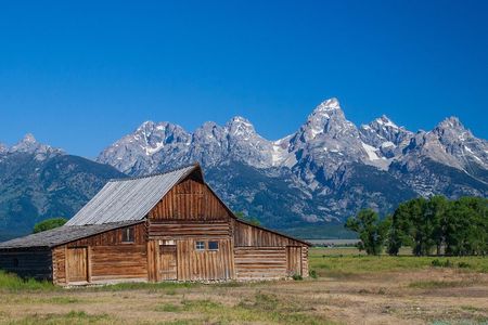 Half-Day Grand Teton Wildlife Safari Private Tour