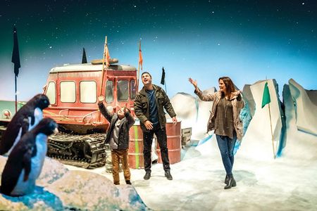 Lyttelton Shore Excursion: Christchurch Sightseeing with Antarctic Center