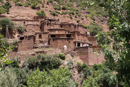 Private Day Atlas Mountains Waterfalls Ourika Berber villages 