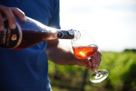 Morning - Loire Valley Wine Tour & Food Pairing, Vouvray