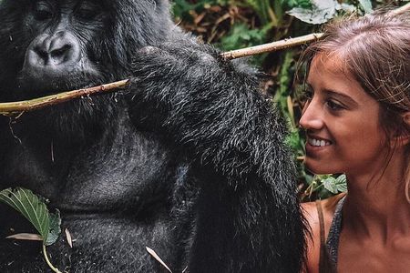 From Kigali: 10 Hour Day-trip Rwanda Gorilla Trekking with Lunch