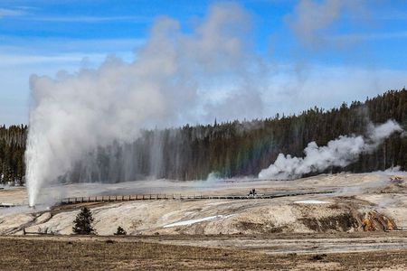 Best of Yellowstone Private National Park Safari Tour