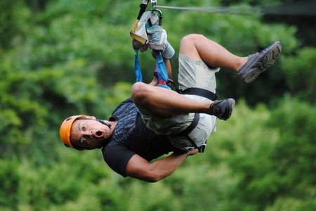 Roatán: Zipline Tour Only