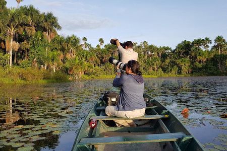 Best of Tambopata 2 nights by JunglePro 
