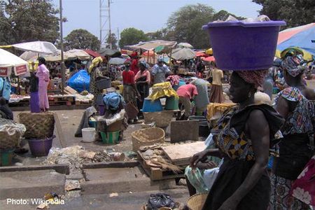 See It All – Safari Tour