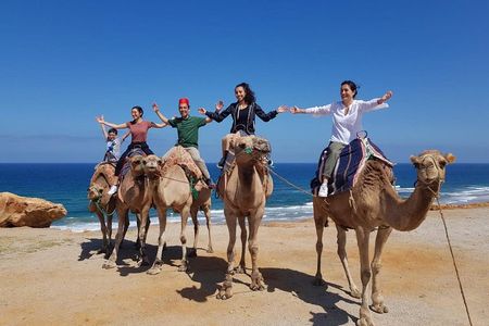 Best of Tangier: Camel Ride, Medina Walk & Breathtaking Views