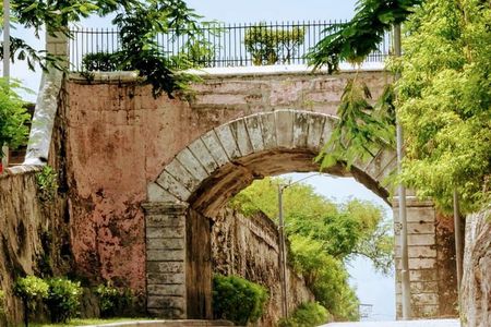 City Sight Seeing with Wine, Rum Cake and Conch Fritter Samples