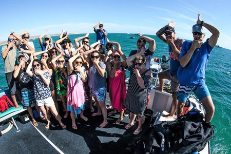 Deluxe Mega Fauna Humpback or Whaleshark Swim Ningaloo Reef