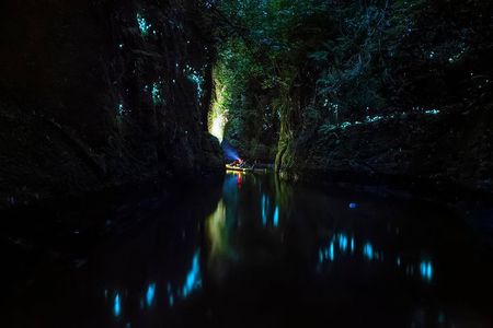 Tauranga: Evening Glowworm Kayak Tour
