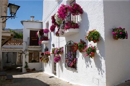 Las Alpujarras Full-Day Tour with Optional Lunch from Granada