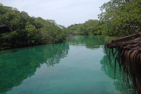 Roatan Mangrove Tunnels Adventure