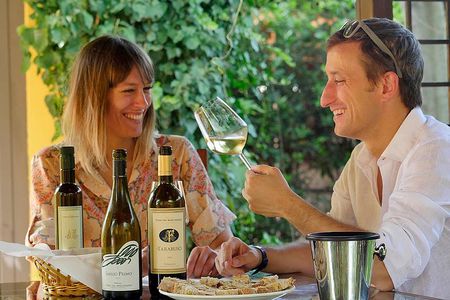 Bolgheri: Classic Wine Tasting with Winery Tour