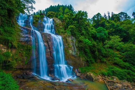 All Inclusive 4-Day Tour to Kandy,Nuwara Eliya,Sigiri Dambulla&Polonnaruwa