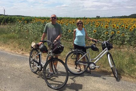 Vineyard cycle tours in and around Chinon, in the Loire Valley