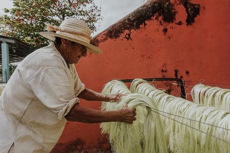 Private Tour: Sotuta de Peon Hacieda Day Trip