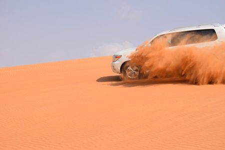 Evening Desert safari