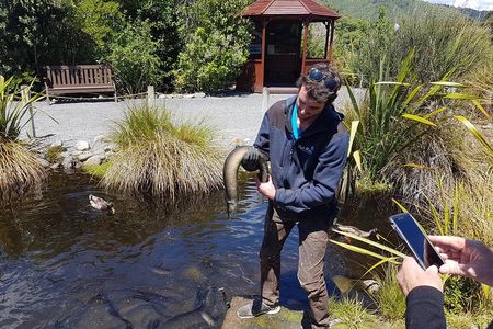 Private Kapiti Coast Full Day Tour