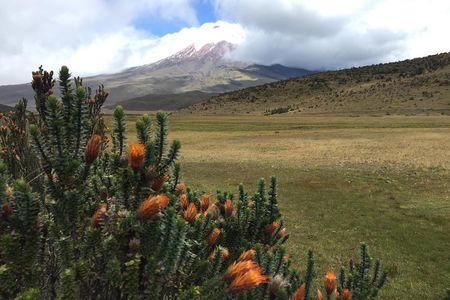 Premium Cotopaxi Full Day Tour