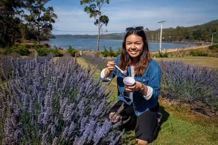 Port Arthur, Richmond and Lavender Active Day Tour