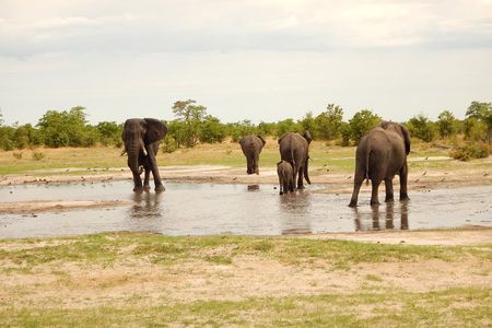 3 Day Okavango Delta
