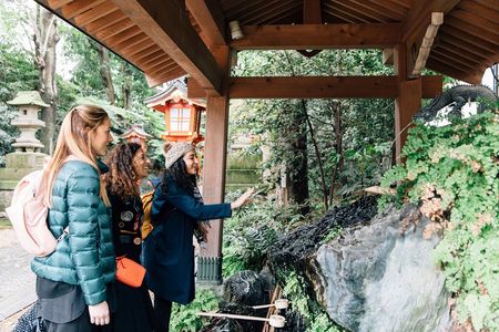 Tokyo Private Half-Day Tour with a Local – Secrets & Highlights