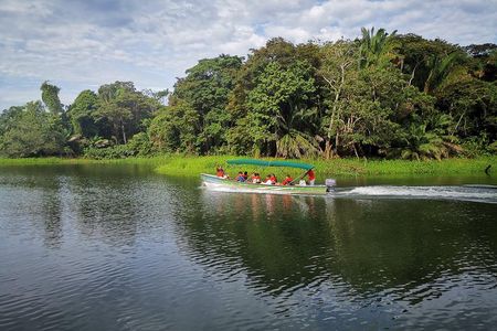 Panama Canal Monkey & Wildlife Boat Safari