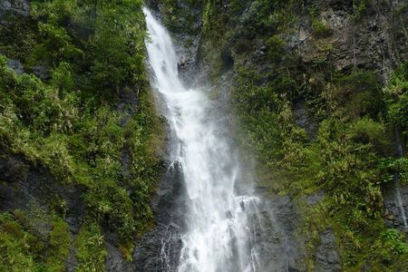 private Tahiti island discovery