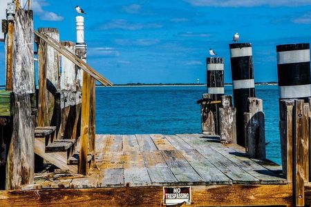 Egmont Key Snorkeling Dolphin Tour