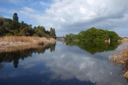 Saint Petersburg Preserve Bike Tour 
