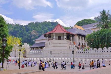 All Inclusive Kandy Day Tour from Colombo & Negombo