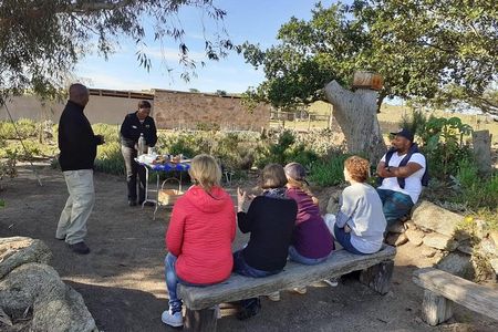 West Coast Day Trip from Cape Town 