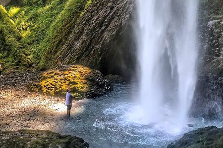 Multnomah Falls and Columbia River Gorge Half-Day Hiking Tour