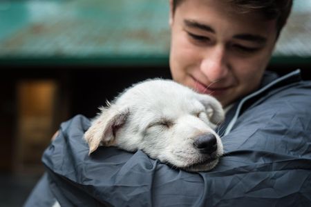 Wilderness Dog Sled Ride and Tour in Seward