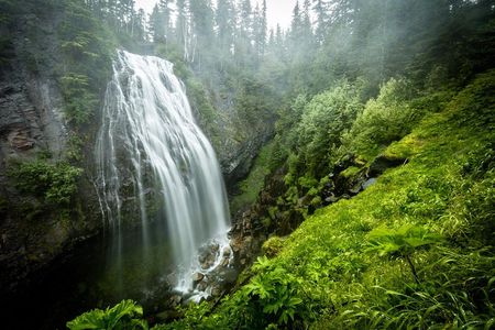 Mt. Rainier Day Trip from Seattle