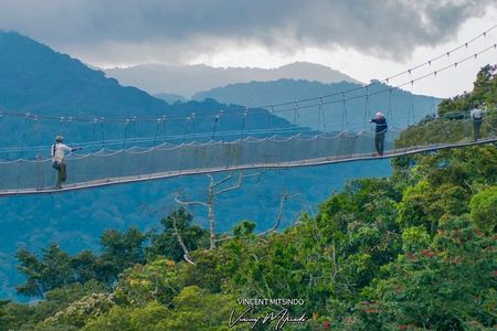 One Day Nyungwe National Park Tour& Canopy walk (2 Pax Min)