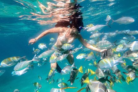 Snorkel Tour and Glass-Bottom Boat Ride in Cabo San Lucas